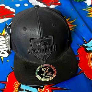 Top Level SnapBack hat